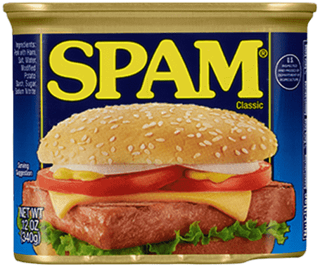 cosa significa spam